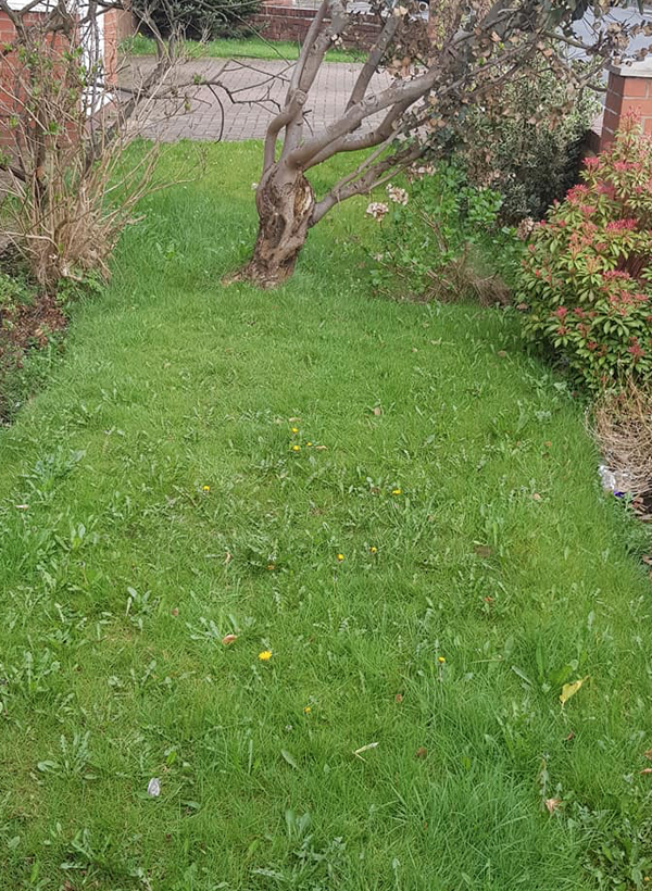 Stockport & Tameside Garden Services